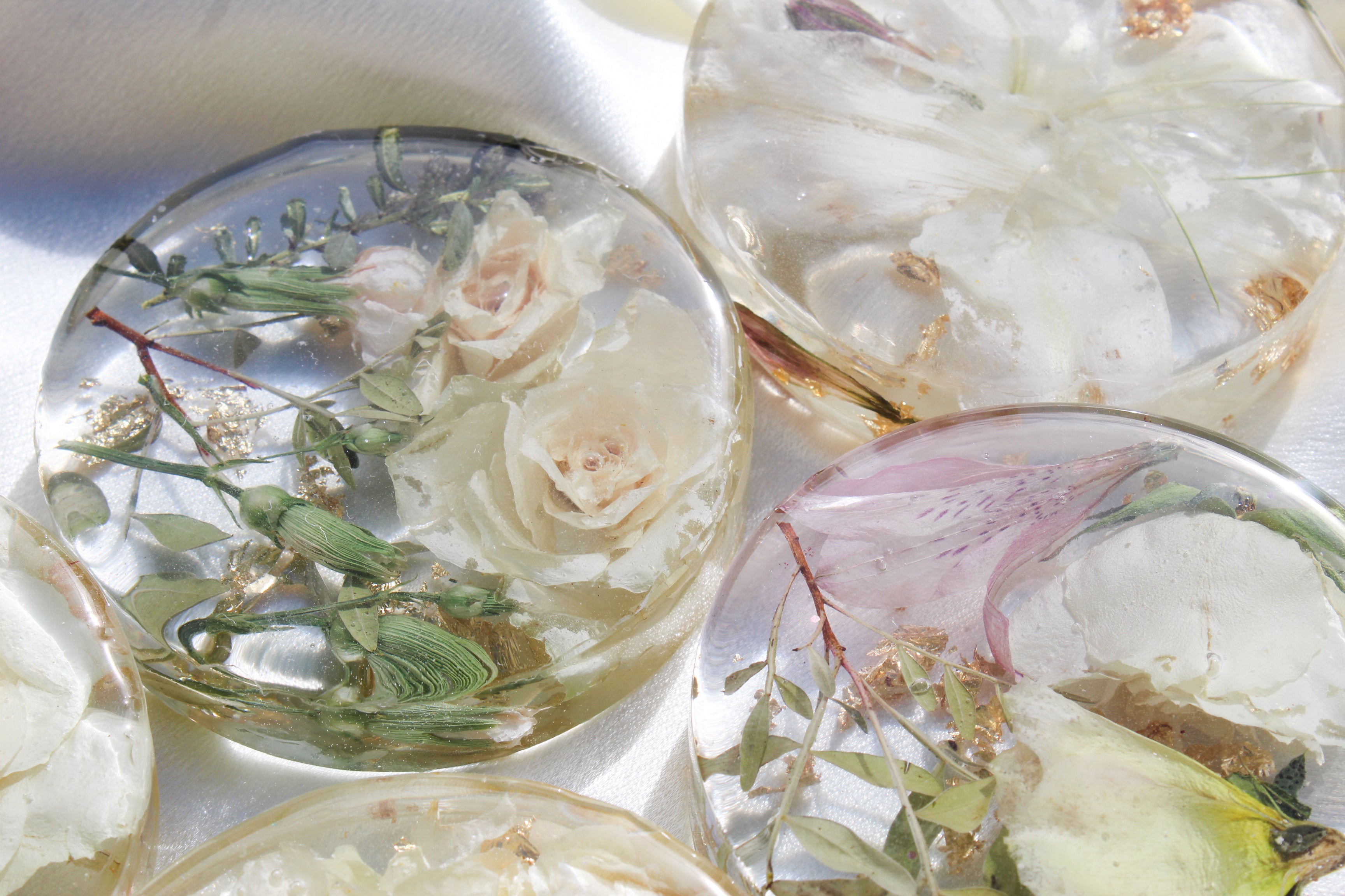 Flower Preservation Coasters