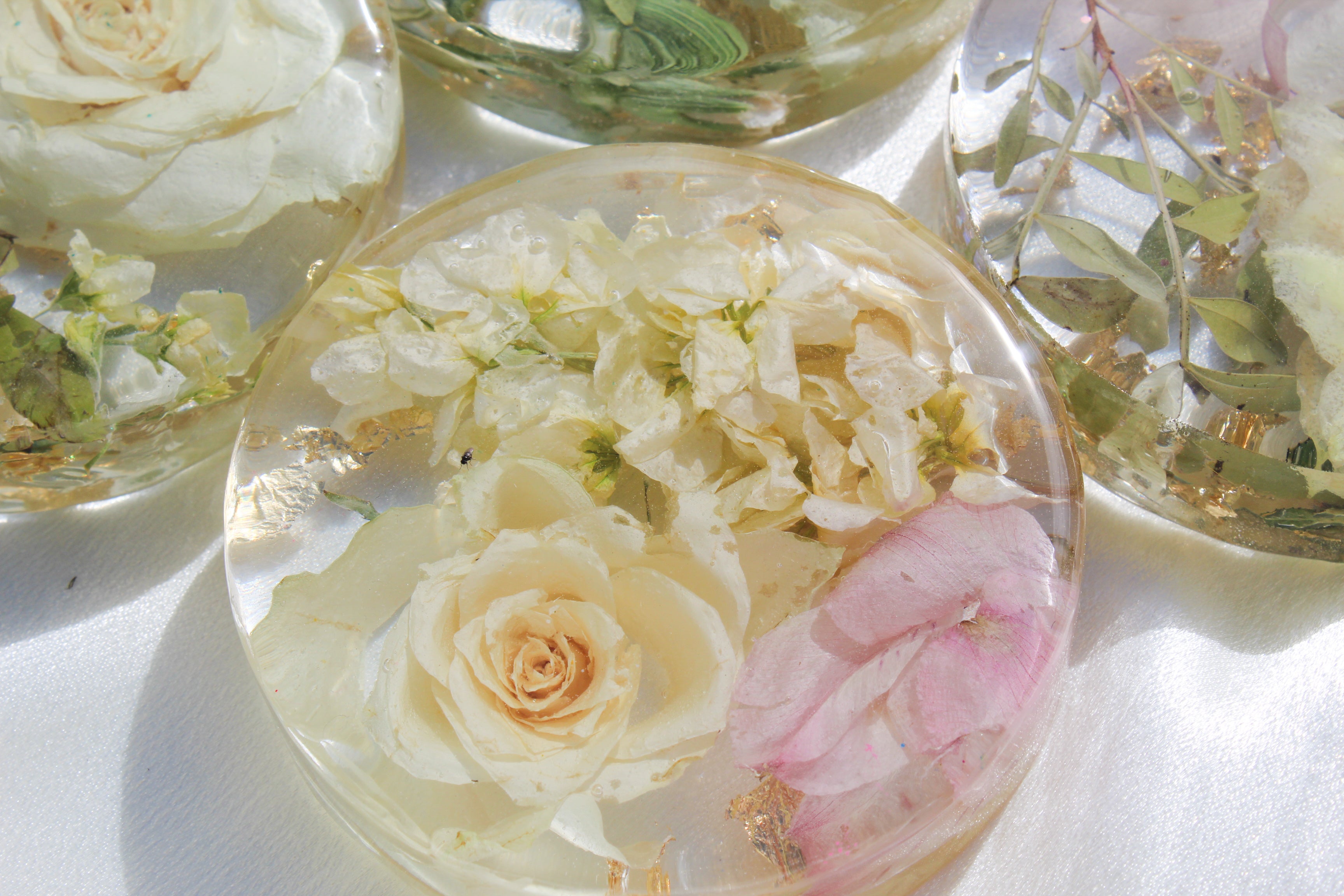 Flower Preservation Coasters